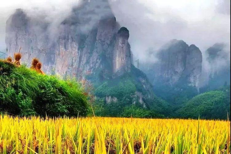 史上最贱小游戏之网络